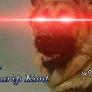 155 GARİP KONT