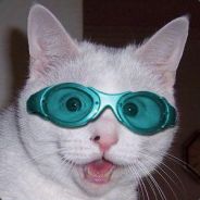 Oleg