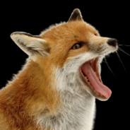 Just A Fox