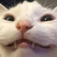猫のエル・ガト