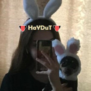 Belali-Haydut