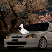 Ente aufm Civic