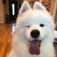 Nuras_Kami