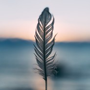 feather