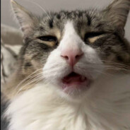 Meow