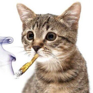 Аватар сообщества Steam