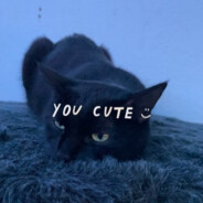 soudies