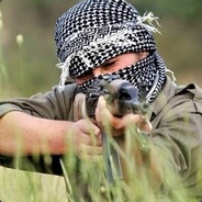 Thestors  gamdom.com