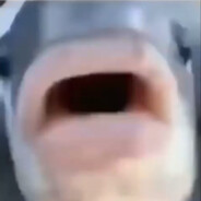 鱼唱