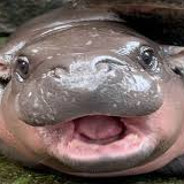 Krogh
