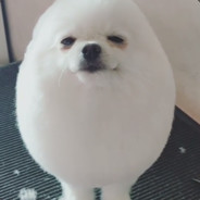 Steam profile picture for @ripe