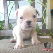 _ReVeN_
