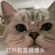梦醒