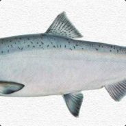 SEMGA