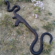 SNÈKÉ47