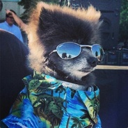 Steam Community Avatar