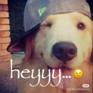 uwoy