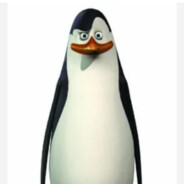 KOWALSKI_Introuzet