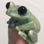 Lil Frug