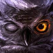 Night OWL