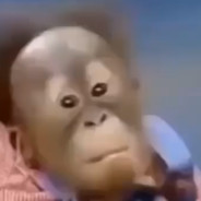 Nigelopiani