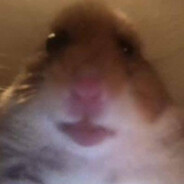 Piesel_MocyYO