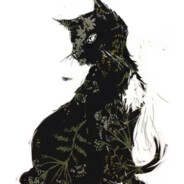 Cat Sí