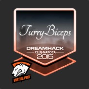 TurryBiceps  | CSGORI.CH