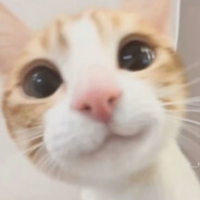wwwꜝ