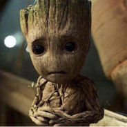 IAMGROOT