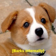 koreandog
