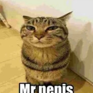 Mr. Penis