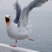 SeaGull