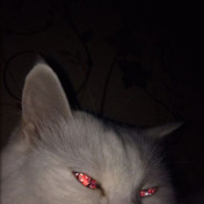 Suppi⛧