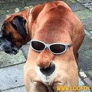Hey Bakaaaar  # Nrv
