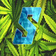 CS-Sauliii