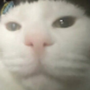 _TTyWoTT_
