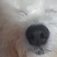 JH