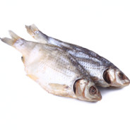 vobla