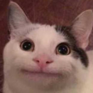 PAJ