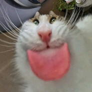 snusike
