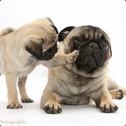 öö