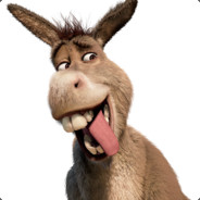 Donkey