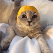 Витя