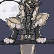 ninjawolf