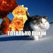 тотальная аннигиляция