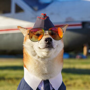Famcy Shib