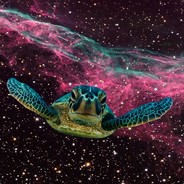 WanaBeNinja