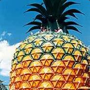 Steam profile picture for @pineapple