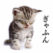 zxvzcxbnzxn